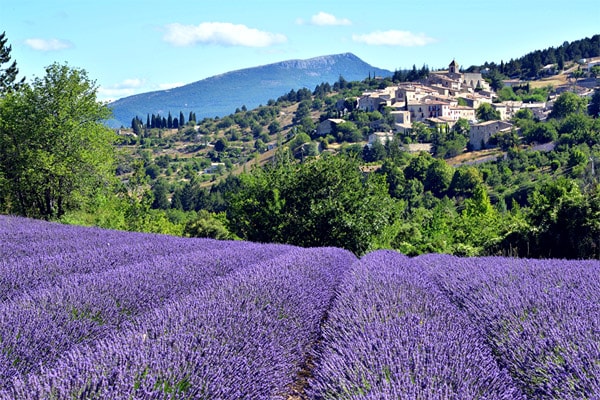 Vacances à la campagne