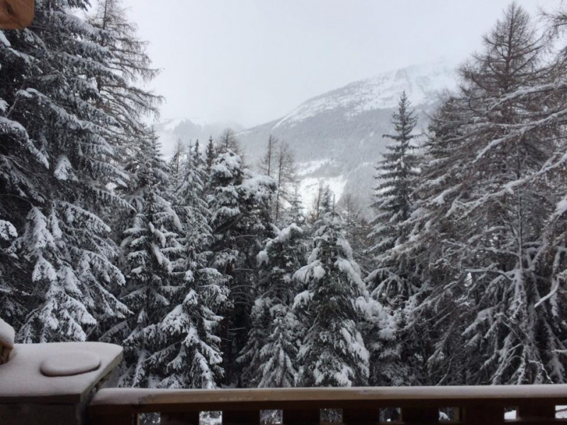 Ecureuil 87 demi-chalet en station de ski de La Norma (hiver pour la glisse) (été loisirs détente multiactivités)