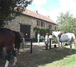 VACANCES EQUESTRES GITE ET CHEVAL
