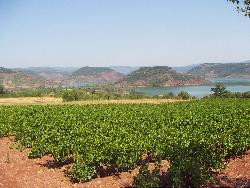 loue mobilhome 800 m de la plage