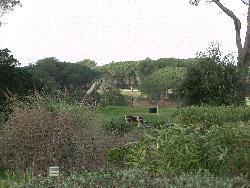 Appartement à Saint Raphael