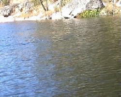 Maison / Moulin d'eau no Norte de Portugal :à louer pour Vacances