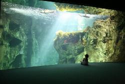 VACANCES A LA ROCHELLE