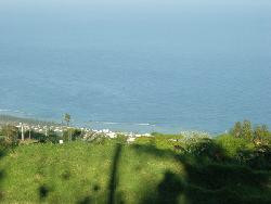 Agapanthes Locations Saisonnières La Réunion