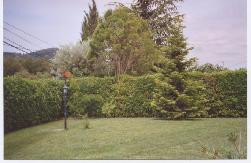 Location villa avec piscine dans le var