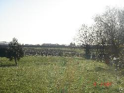 PETITE MAISON CALME DANS VIGNOBLE NANTAIS