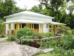 Découvrez la Guadeloupe Verte : Les Cycas - Gites de charrme