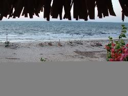 A louer petit bungalow Ã  50 m de la mer Ã  MAHAJANGA (MADAGASCAR)