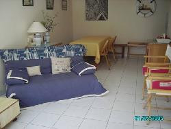 en morbihan : plage et verdure