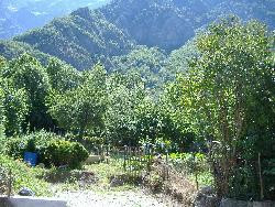 BEAU T2  PARC NATIONAL DES ECRINS - LE SECHIER 05