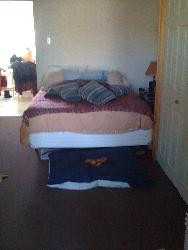 New York -  Jersey City Downtown - $ 950/semaine Appartement 1 chambre