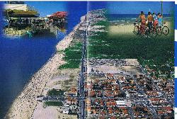 MOBIL HOME DANS LES PINS