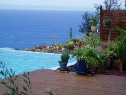 Les Avirons studio Héliconia