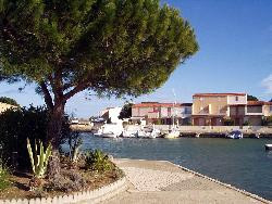 Meublé avec jardin à Saint Cyprien