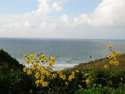 Appartement dans maison vue mer