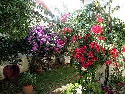 LOCATION MAISON NORD PORTUGAL PORTO