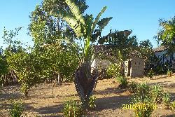 VILLA A LOUE /MAHAJANGA /MADAGASCAR