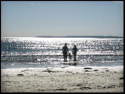 BRETAGNE FINISTERE PENTREZ CROZON  MER Appartement  100m de la plage