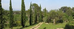 Villa 5 personnes + 1 bébé, 4 hectares de parc au coeur de la Provence. Calme et espace !