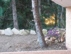 loue studio avec jardin