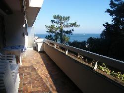 Appartement terrase sur mer & pins, accès direct à la plage