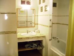 loue a bayonne appartement juillet aout f5 avec terrasse vue sur l'adour