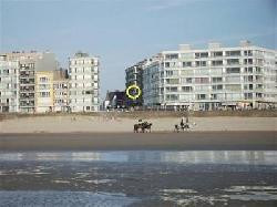 appartement luxueux avec garage