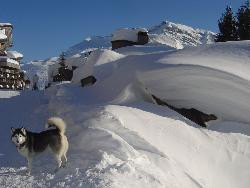 Location appartement à AVORIAZ