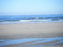 location au Nord du portugal, a Esposende a (à km de porto)