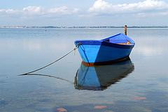 pinehood of greenmill : wonderfull house for holidays