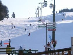 appartement 2 pieces+mezzanine /LE BETTEX -st GERVAIS