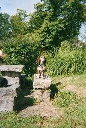 Pays Basque -St Pée sur Nivelle/Ibarron