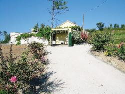 location maison à POMBAL