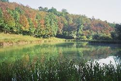 Périgourdine avec un étang privé pour la pêche