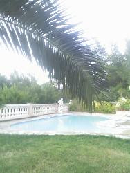 locations bas de villa avec terrasse et piscine à toulon