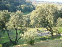 Location saisonnière vacances maison Corse Porticcio, vue mer