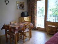 Loue studio PIED DE PISTE avec PISCINE