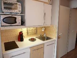 AVORIAZ La FALAISE T2 de standing  6/8 personnes été hiver