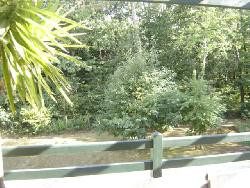 A louer appartement T4 dans res de standing avec belle terrasse