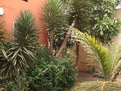 Ne cherchez plus! La Villa Bidou est tout simplement époustouflante!