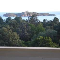 villa D3 - 10 personnes / 4 chambres - Testa, Golfe de Pinarellu, région Porto Vecchio Corse du Sud.