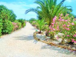 Plusieurs maisons dans charmante propriété à Albufeira