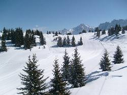 CHAMONIX** 2 pièces 4/5 Pers Vue Mont Blanc