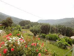 PRIX EN BAISSE GITE neuf JARDIN.WIFI 3***.1 A 6 PERS.proche Cannes.dès 249€/sem