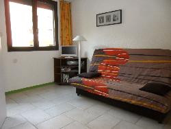 CHAMONIX 2 pièces Vue Mont Blanc