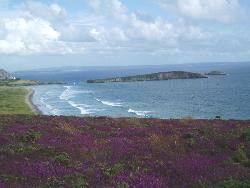 Locations de Trois maisons particulières près de la plage de L'Aber