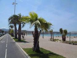 Appartement de vacance à Six Fours les Plages