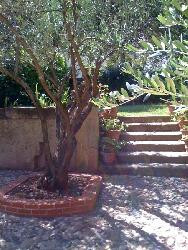 Appartement CHIC en Coeur d'Hérault