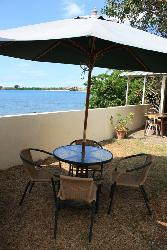 le cactus baie du tombeau  ile maurice