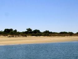 Location de F3 à tavira - Algarve